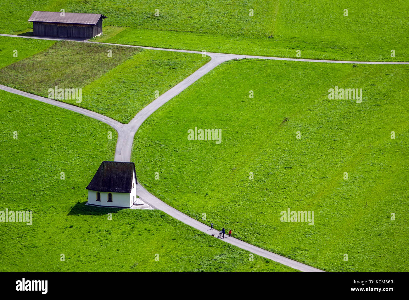 Molti piccoli fienili in campi verdi, nei pressi di Imst, Austria Foto Stock
