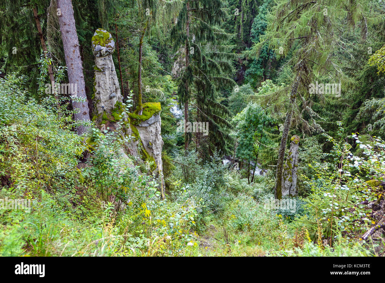 Torre di massa chiusa con boulder in boschi, Roppen, Austria Foto Stock