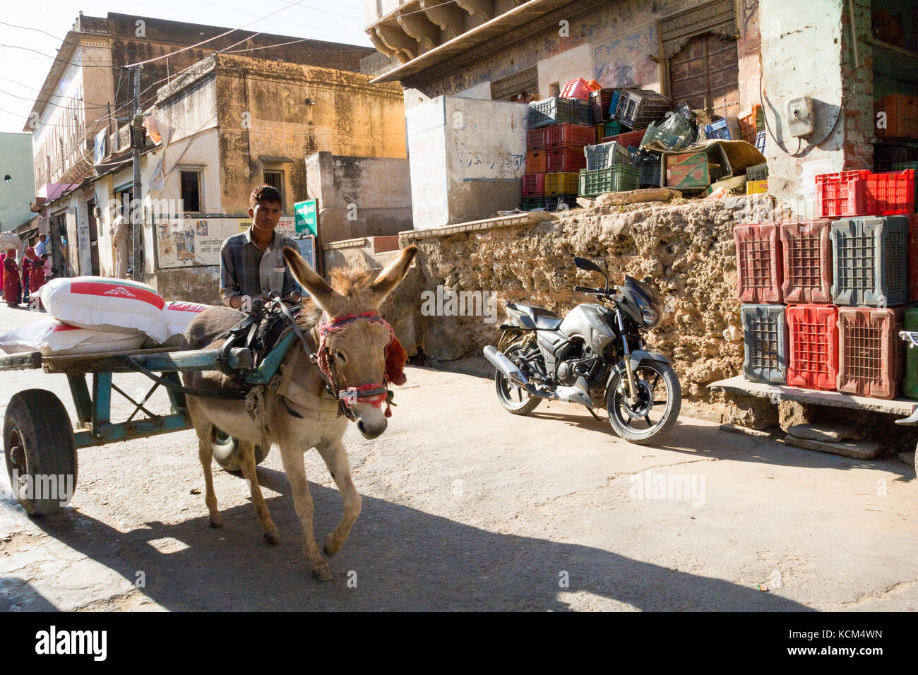 La vita quotidiana in mandawa, India - Il giovane uomo sul carretto trainato da asino Foto Stock