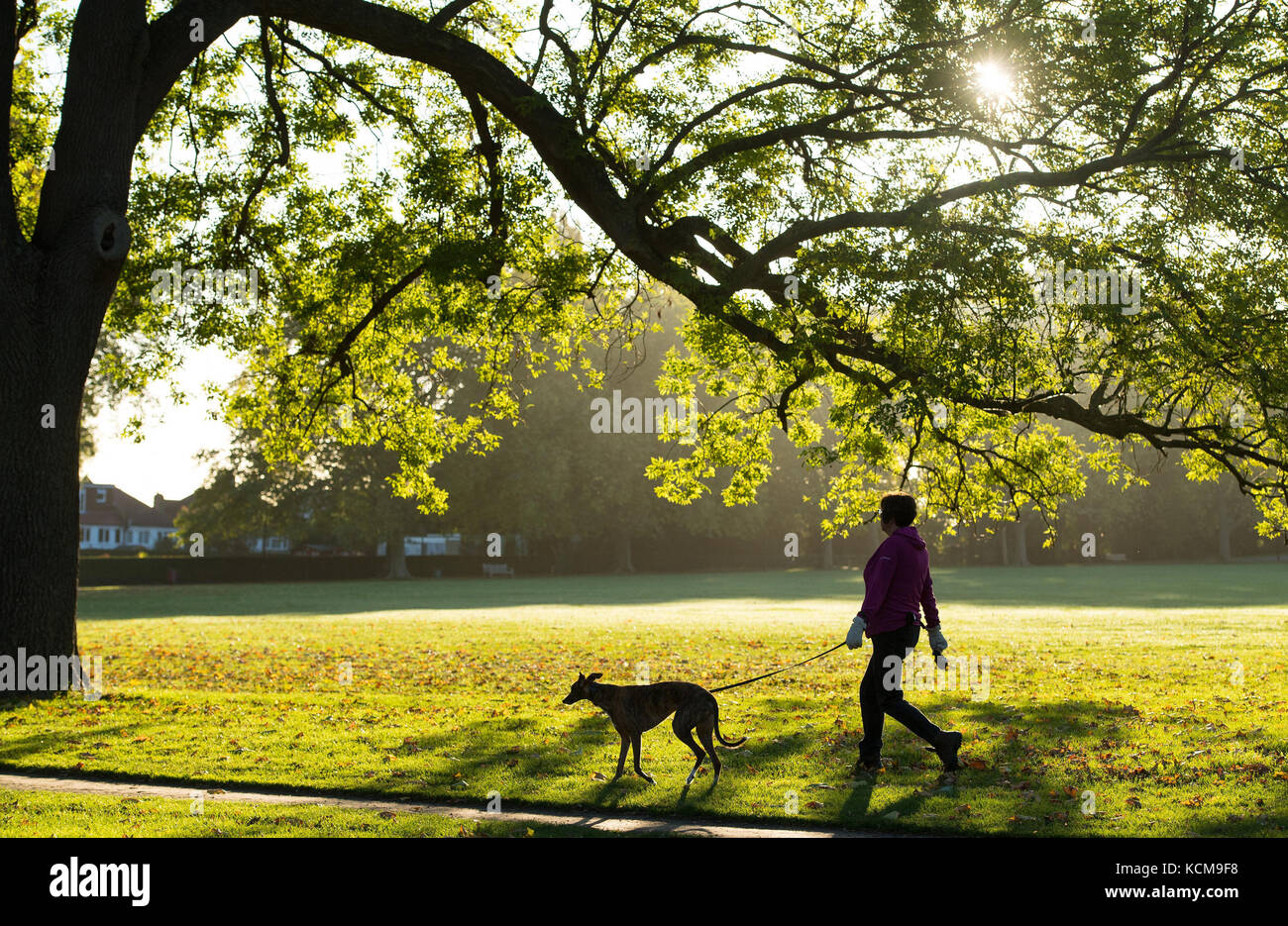 Una donna cammina un cane nel parco dei campi collinari, a sud-est di Londra. Foto Stock