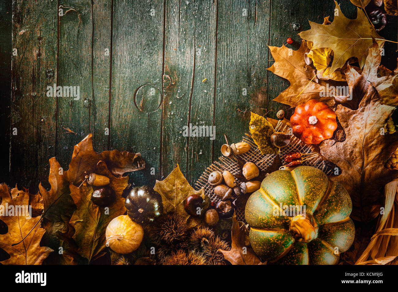 La Giornata del ringraziamento a cena. autunno frutti e foglie.. ringraziamento autunno sfondo Foto Stock