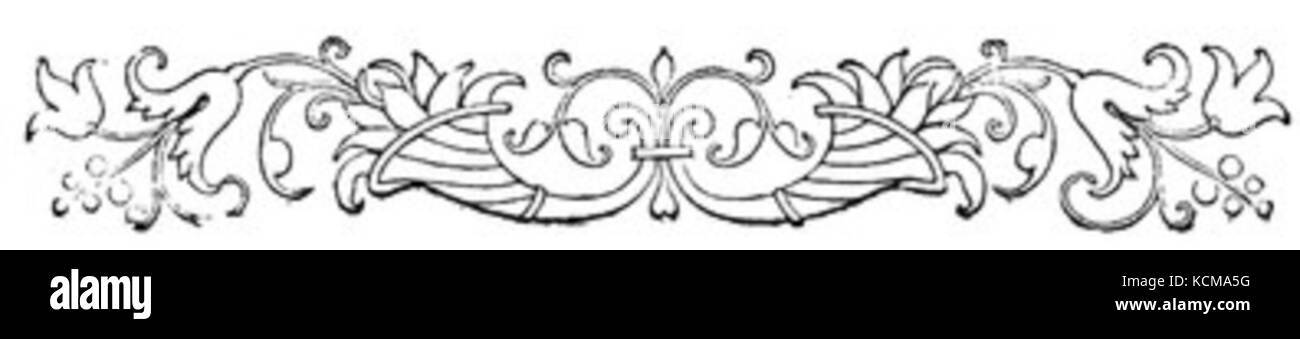 Fiore delicato confine Foto Stock