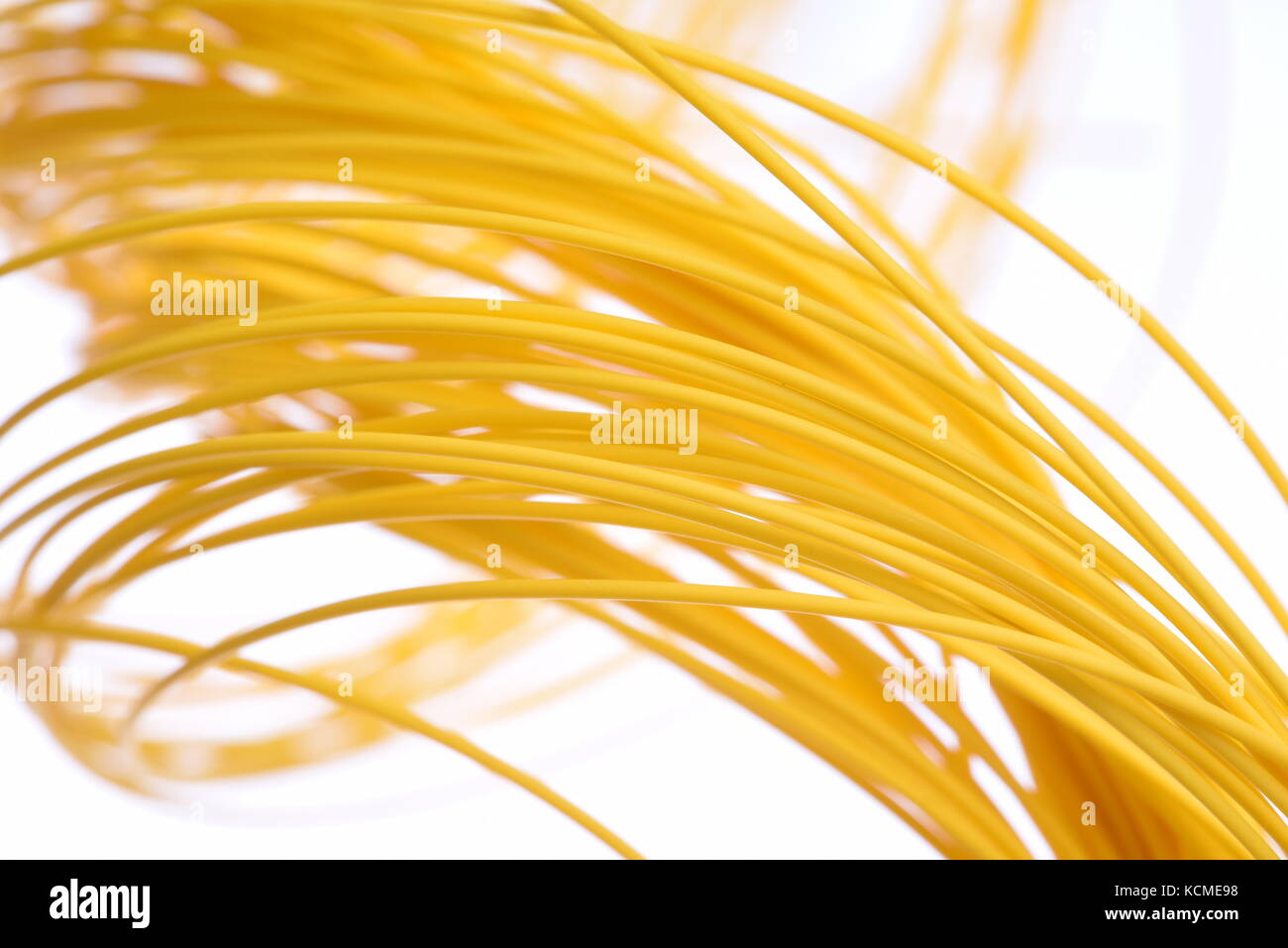 Fibra ottica cavo di rete isolato su sfondo bianco Foto Stock