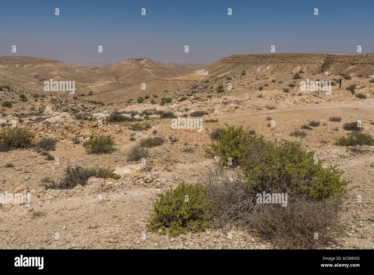 Sabbia e rocce del deserto del Negev, Israele Foto Stock