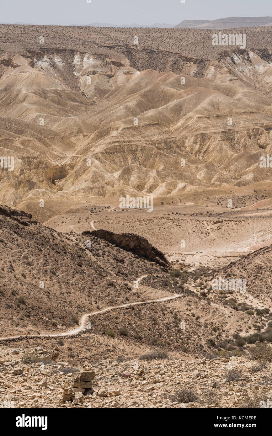 Sabbia e rocce del deserto del Negev, Israele Foto Stock