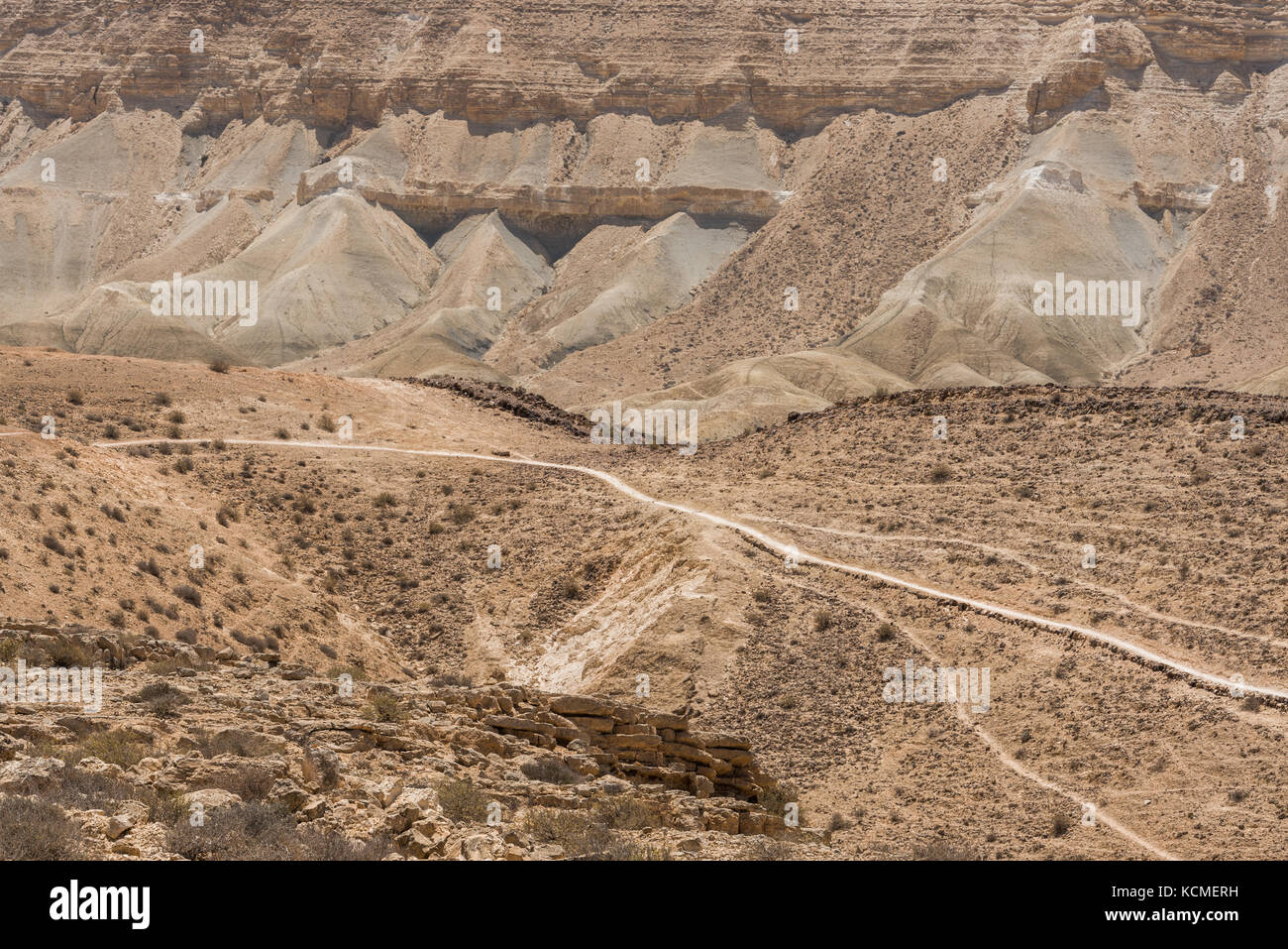 Sabbia e rocce del deserto del Negev, Israele Foto Stock