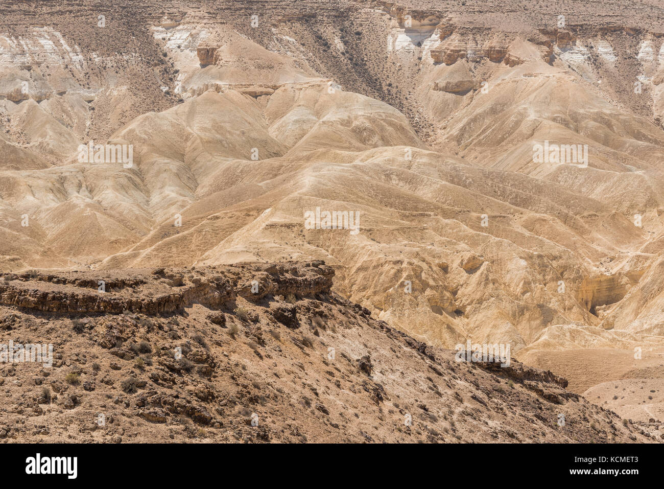 Sabbia e rocce del deserto del Negev, Israele Foto Stock