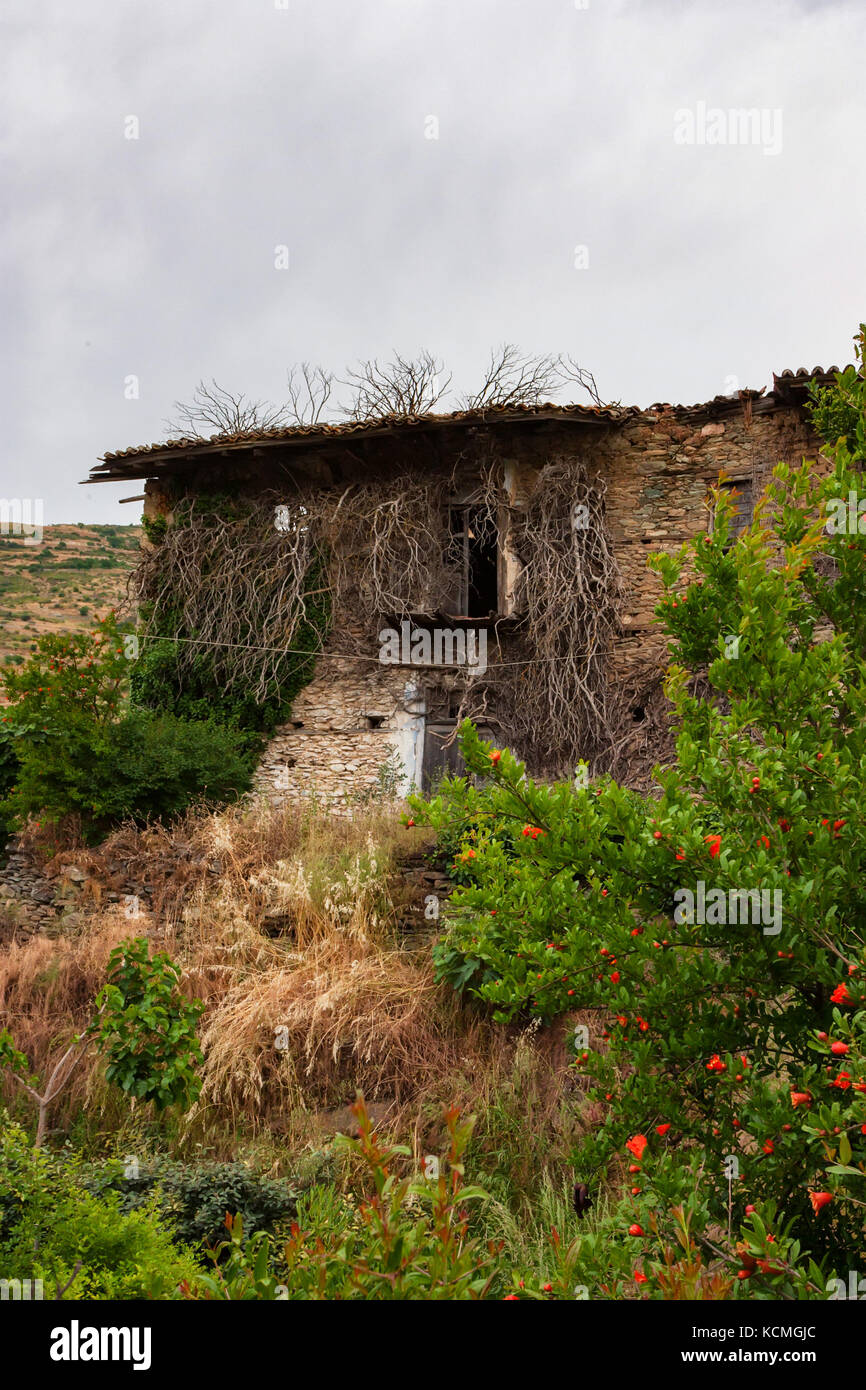 Vecchia casa abbandonata Foto Stock