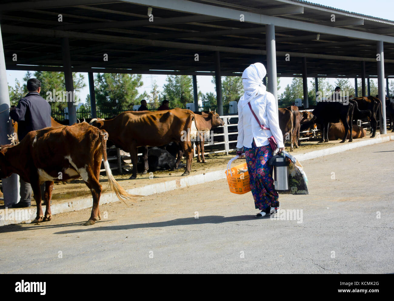 Ashgabat 2017 - bestiame Turkman donna con che copre completamente il viso al mercato del bestiame nei pressi di Aşgabat Foto Stock