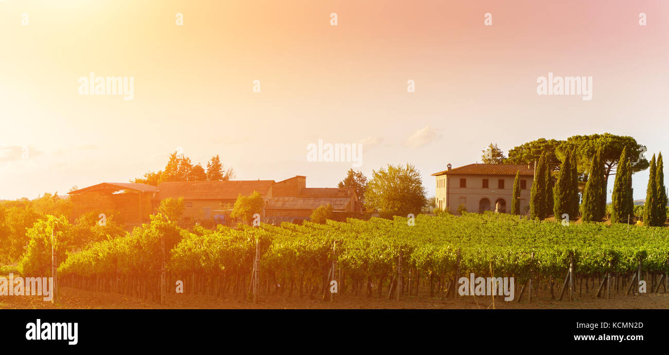 Visualizzazione classica di scenic paesaggio toscano Foto Stock