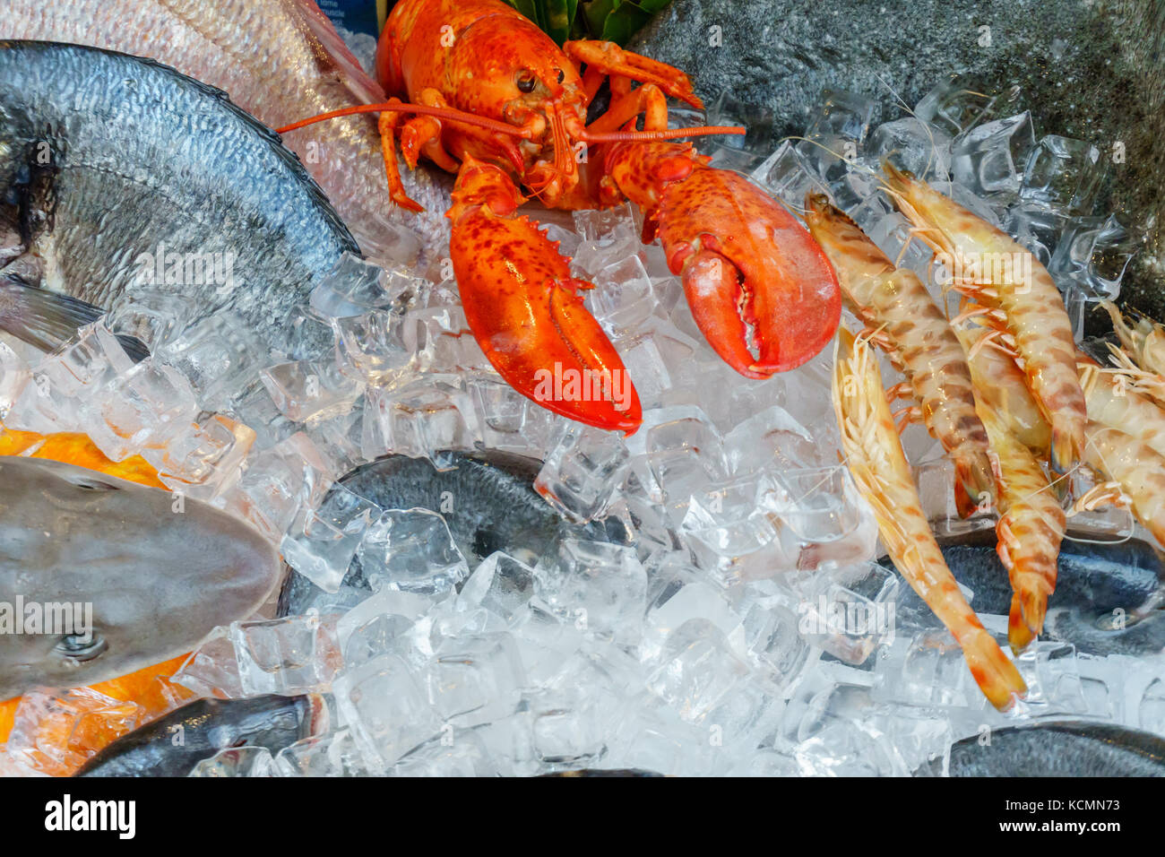 Frutti di mare su ghiaccio al mercato del pesce Foto Stock