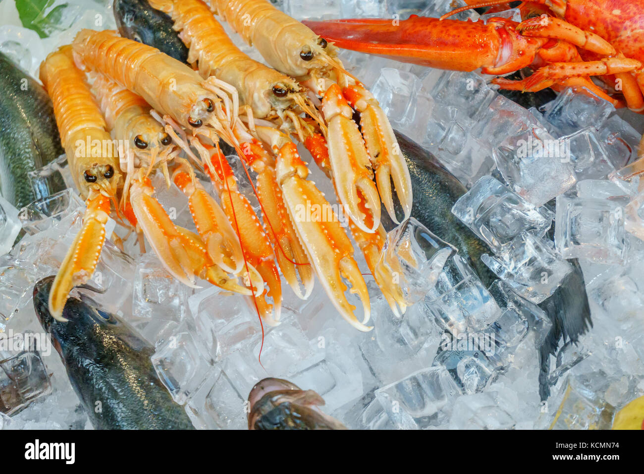 Frutti di mare su ghiaccio al mercato del pesce Foto Stock