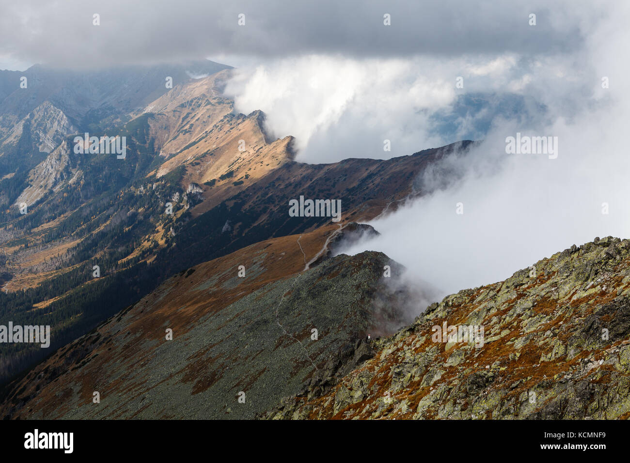 Alti Tatra coperte con ripiano nuvole, vista da Kasprowy Wierch verso Kondracka Kopa, Polonia Foto Stock