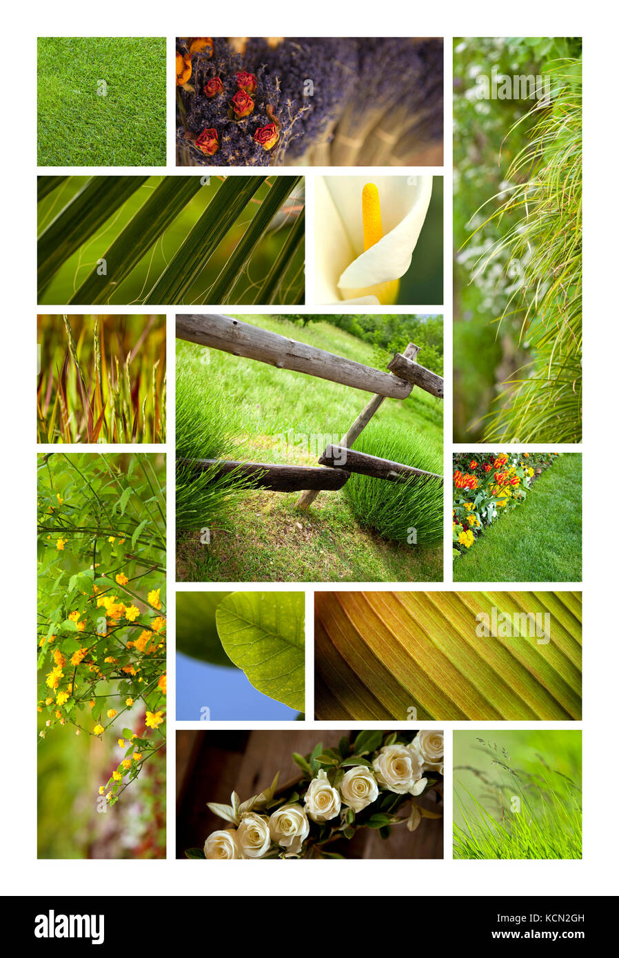 Verde e coloratissima vegetazione su un giardino collage Foto Stock
