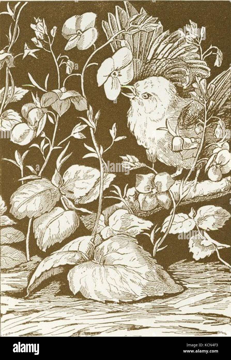 Bird e disegno di fiori Foto Stock