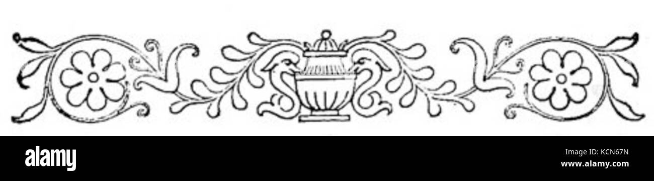 Bordo del fiore Foto Stock