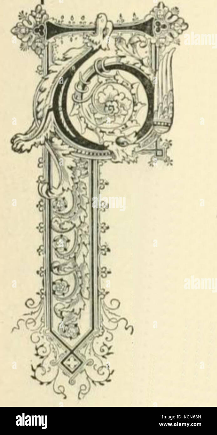 Questa elegante lettera "T" presenta un design stilizzato e ornato, comunemente utilizzato nella tipografia decorativa e nella grafica. Tali lettere sono spesso impiegate in opere artistiche, loghi e composizioni tipografiche. Foto Stock