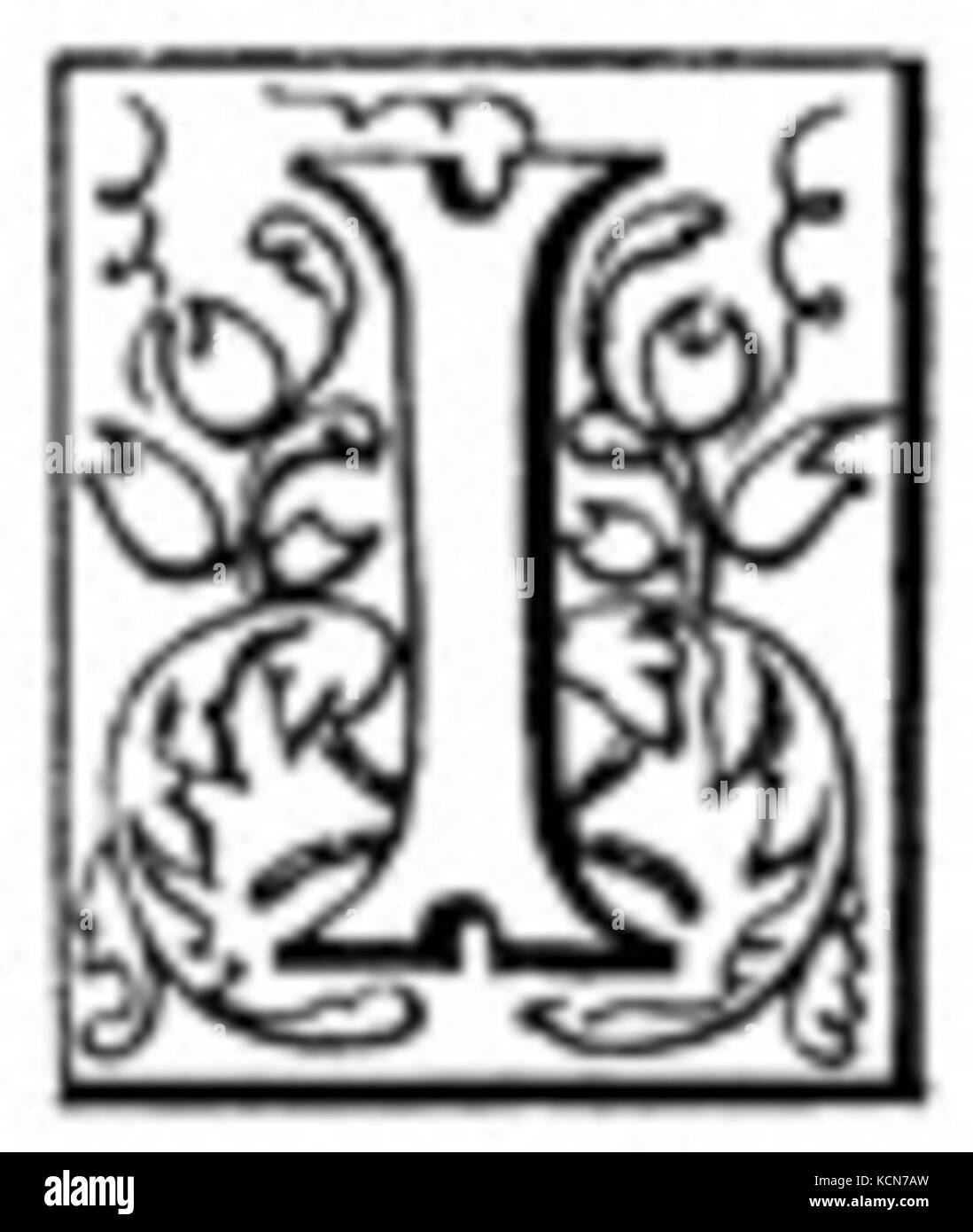 Per «lettera i» si intende un disegno o un esempio di caratteri a blocchi, una forma di tipografia nota per le sue lettere chiare e con bordi dritti. Questo stile è comunemente utilizzato per la segnaletica, la stampa e il design, sottolineando la leggibilità. Foto Stock