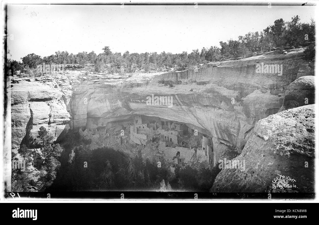 Vista in lontananza il Cliff Palace presi in cima alla scogliera, a Mesa Verde (ora un parco nazionale), Colorado, ca.1900 (CHS 5686) Foto Stock