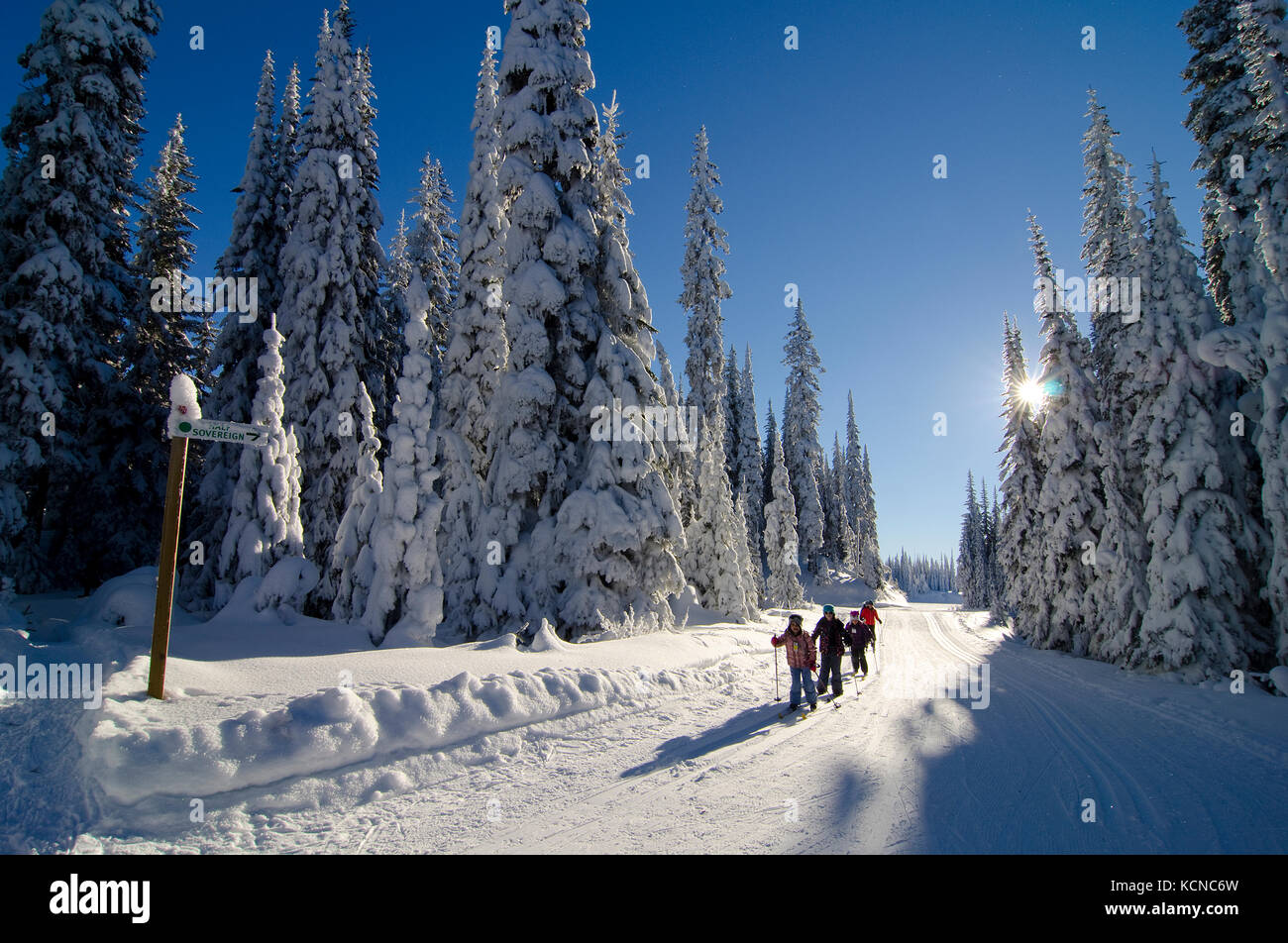 Famiglia giovane gode di una giornata di sci di fondo al sovrano laghi Nordic Center vicino a Vernon nella regione Okanagan della British Columbia, Canada. Foto Stock