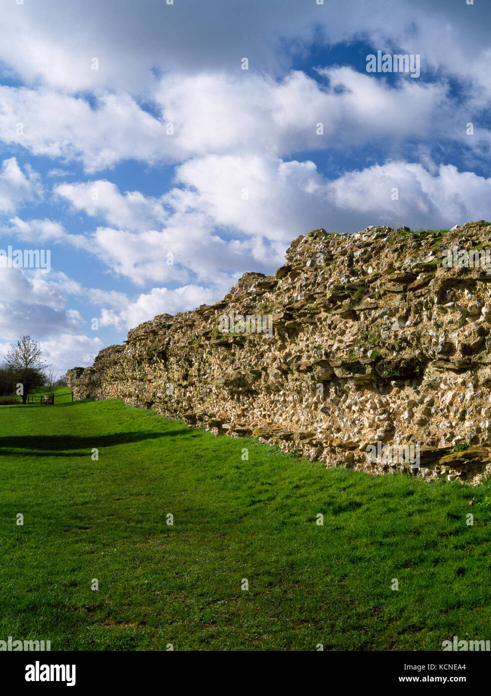 Silchester città romana pareti, Hampshire: vista SW lungo la parte esterna della parete se il cui nucleo di selce e mortaio con pietra corsi di livellamento è stato esposto. Foto Stock