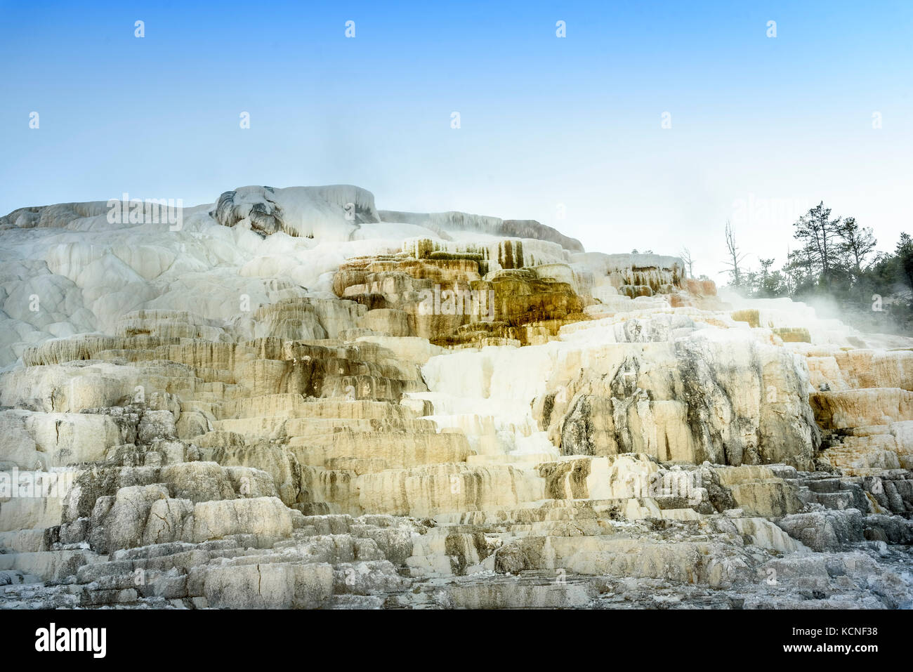 Iconica della cottura a vapore geotermico in funzione di Mammoth Hot Springs sul parco nazionale di Yellowstone Foto Stock