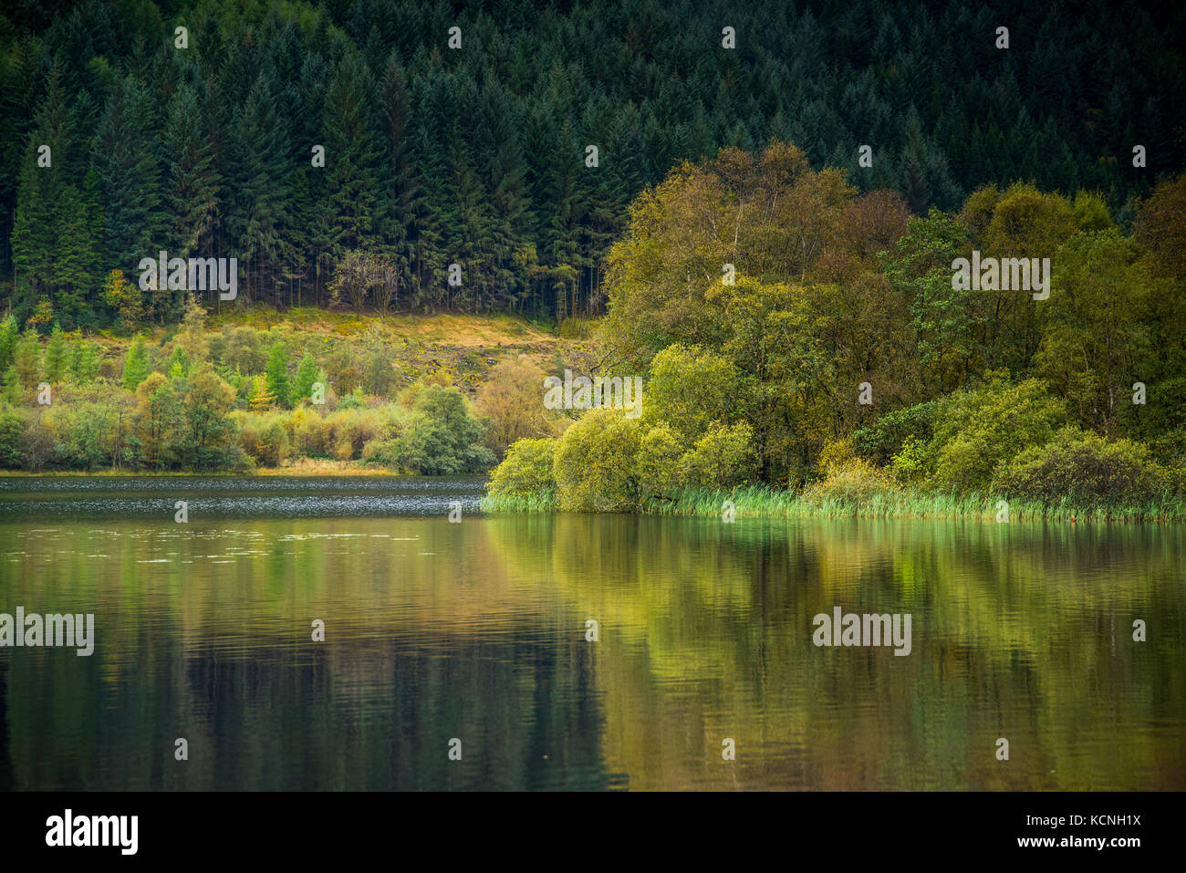 Inizio Autunno colori sul Loch Ard Foto Stock