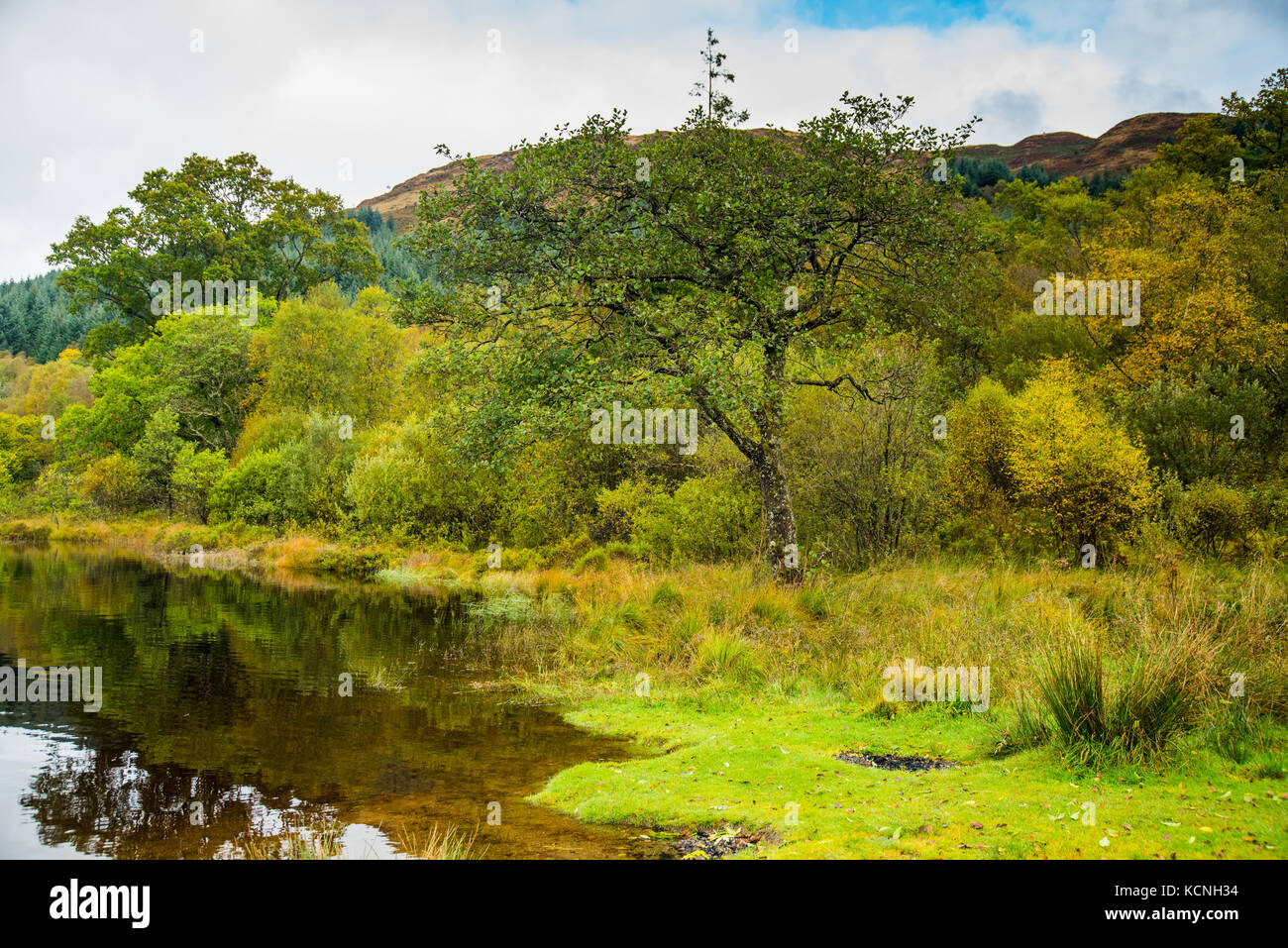 Inizio Autunno colori sul Loch Ard Foto Stock