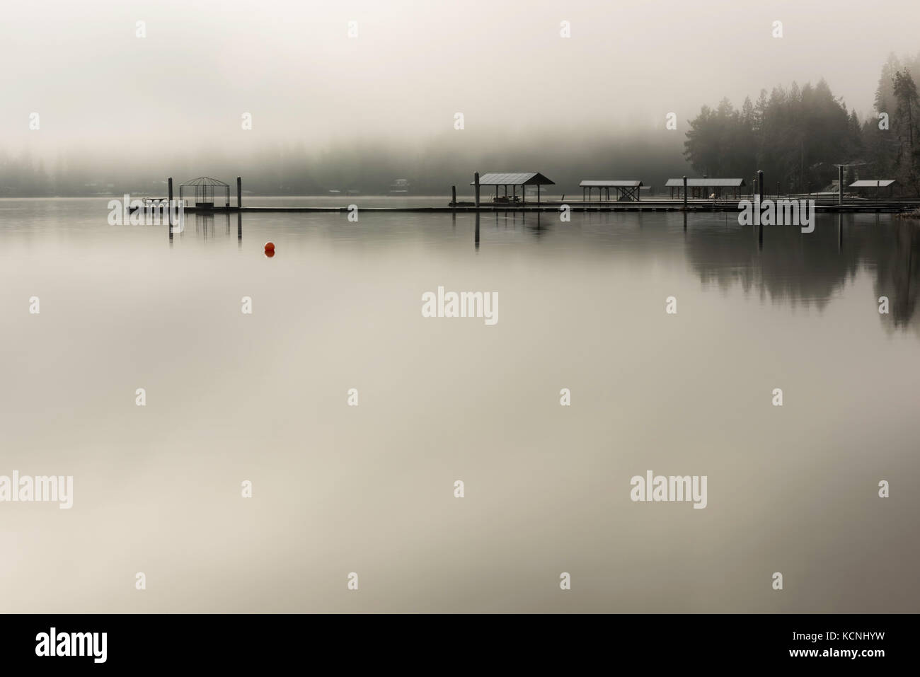Nebbia mattutina e la nebbia a Sproat Lake, Port Alberni, Isola di Vancouver, BC Canada Foto Stock