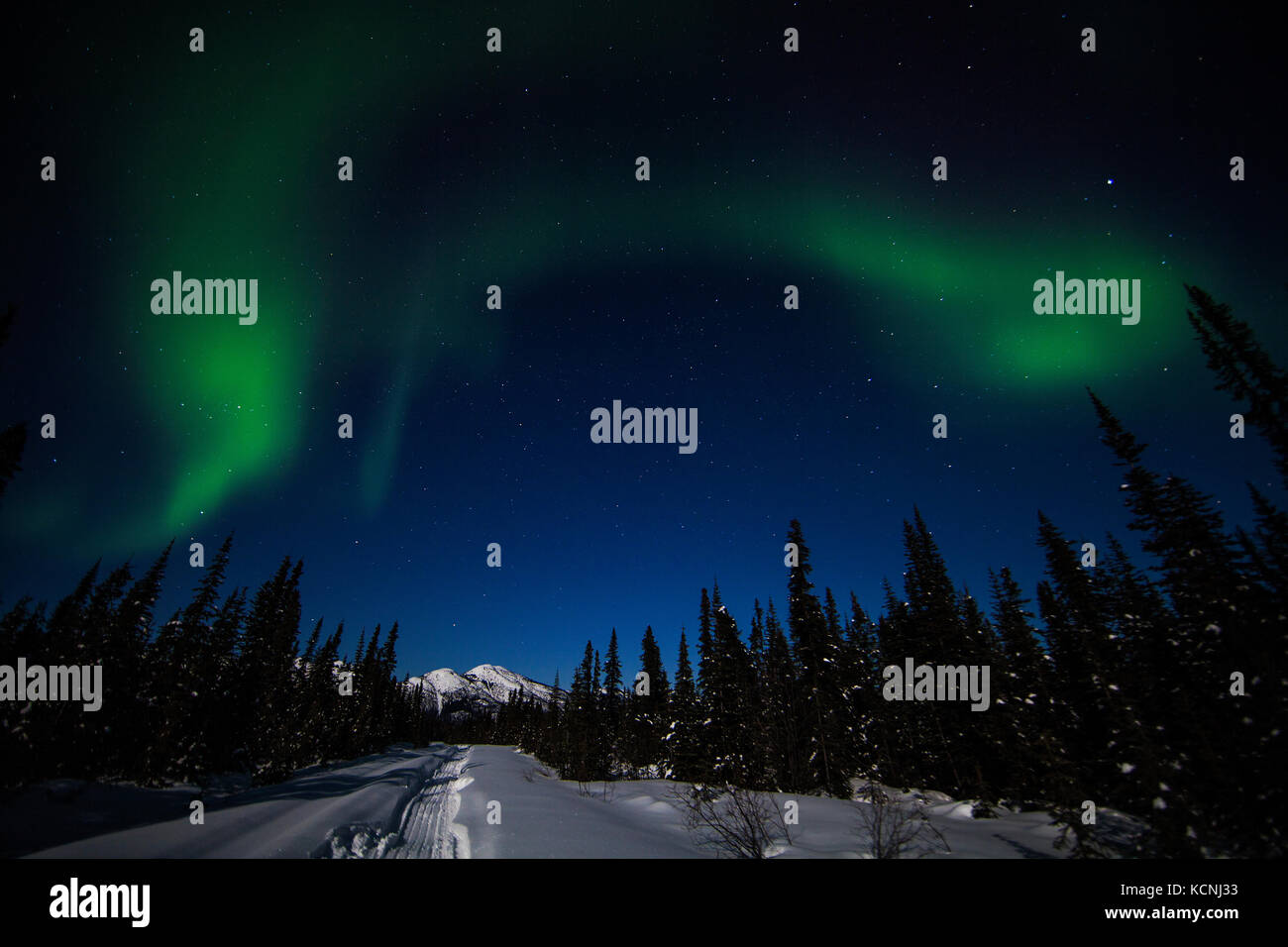 Northern lights dance attraverso una chiara stellato cielo lungo il patrimonio canol trail, Mackenzie montagne, Norman wells, Northwest Territories, Foto Stock