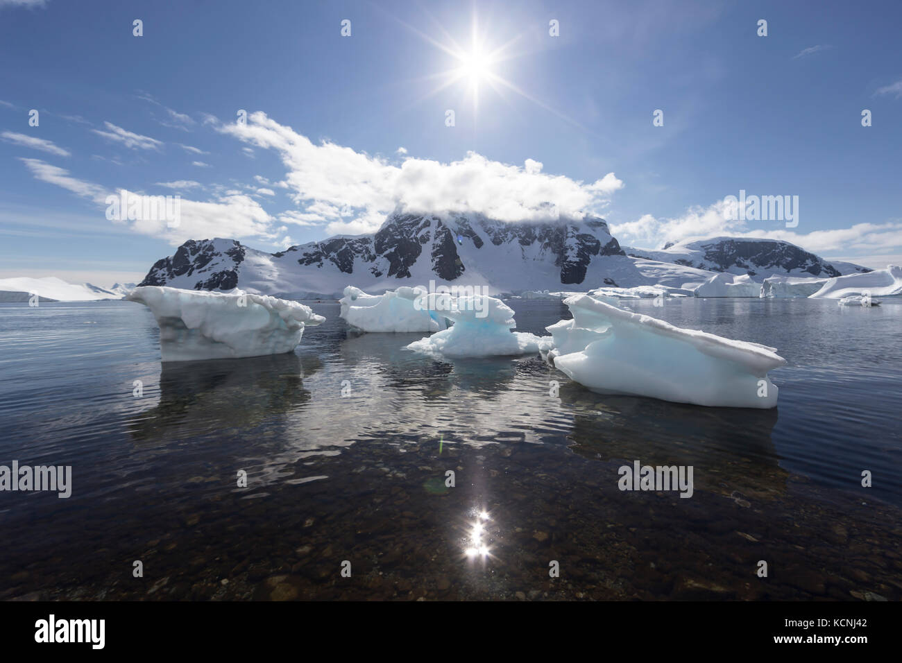 Piccolo bergy bit rimangono a terra sulla riva vicino danco island, penisola antartica Foto Stock