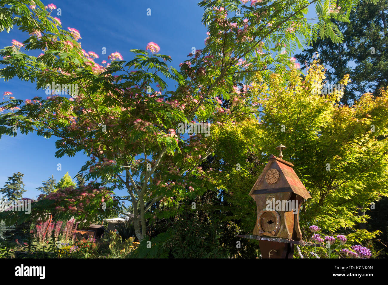 Situato a 12 km a nord del centro cittadino di Victoria, il centro ortofrutticolo del Pacifico accoglie i visitatori a giardini pubblici, curata da volontari, il personale e gli studenti. Victoria, Isola di Vancouver, British Columbia Foto Stock