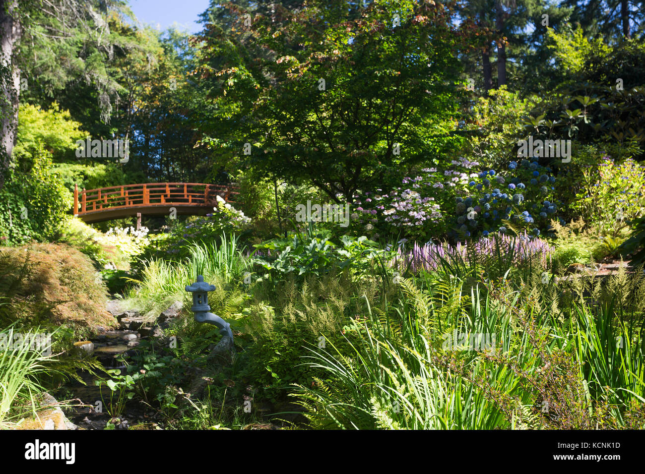 Situato a 12 km a nord del centro cittadino di Victoria, il centro ortofrutticolo del Pacifico accoglie i visitatori a giardini pubblici, curata da volontari, il personale e gli studenti. Victoria, Isola di Vancouver, British Columbia, Canada Foto Stock