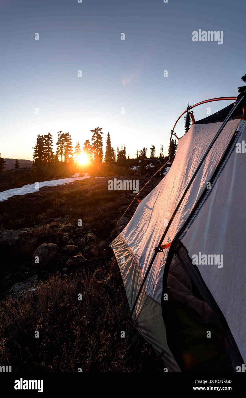 La mattina presto sunrise illimunates il lato di una tenda sul plateau lee sull'isola di Vancouver, British Columbia, Canada. Foto Stock