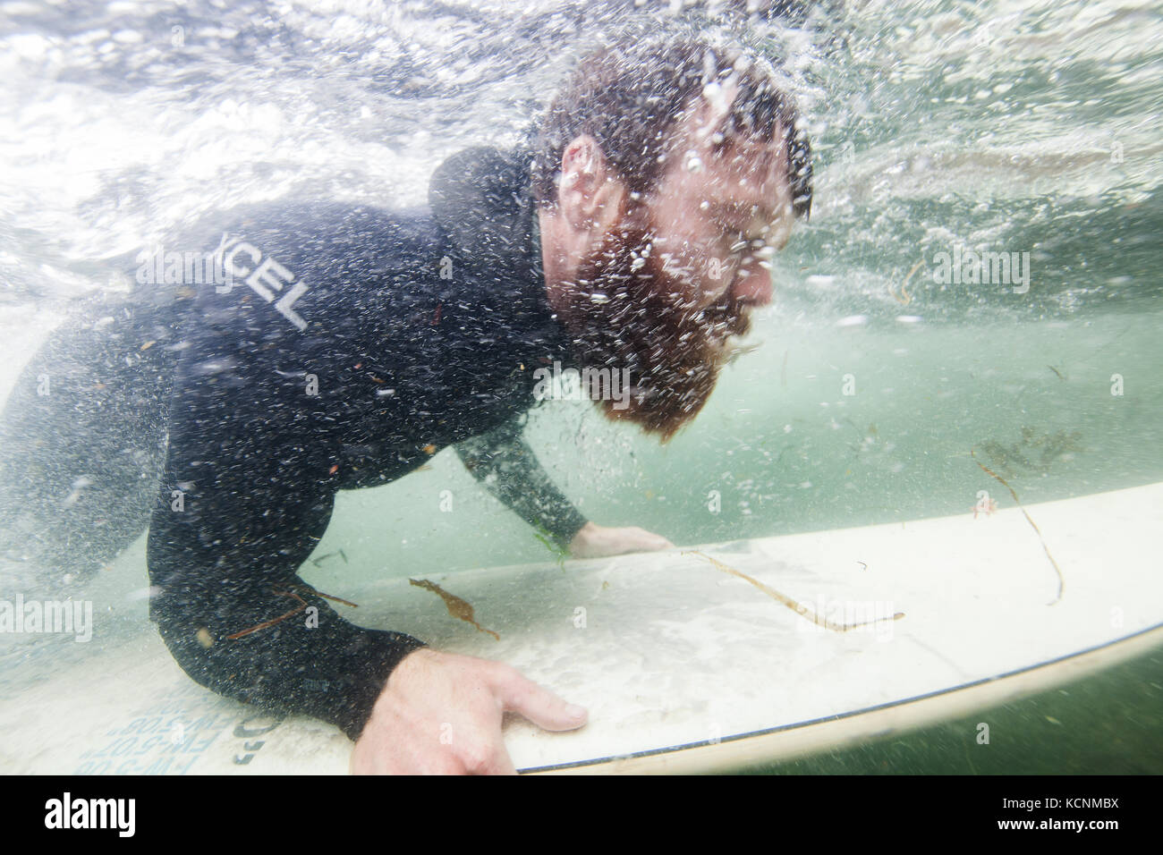 Un surfista nel suo elemento acquoso duck si tuffa nel navigare off della molla isola vicino Kyuquot, Isola di Vancouver, British Columbia, Canada Foto Stock