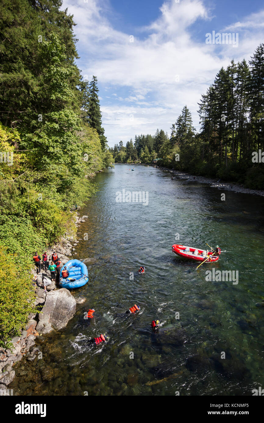 Snorkeling tuffarsi nelle acque del fiume campbell per guardare il salmone la migrazione a monte, Campbell river, isola di Vancouver, Canada Foto Stock