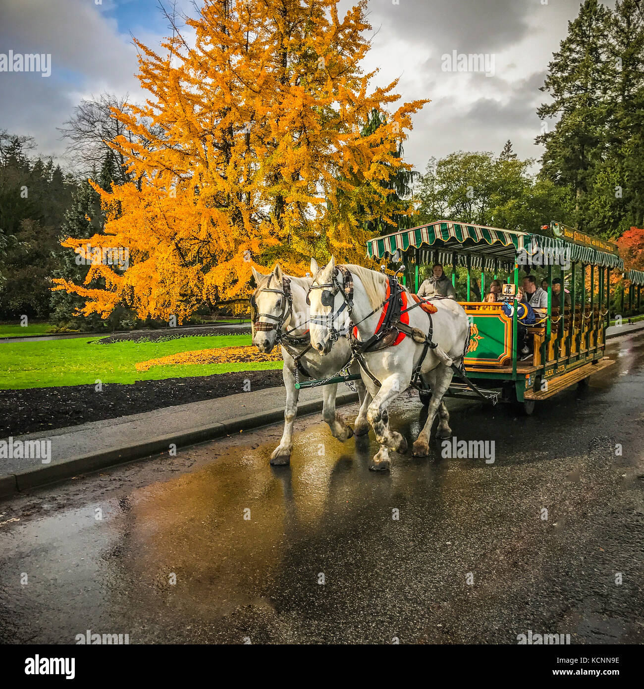 I turisti partecipando a scenic carro trainato da cavalli tour intorno a Stanley Park, una zona naturale circondato dalle fresche acque dell'oceano pacifico in Vancouver, British Columbia, Canada Foto Stock