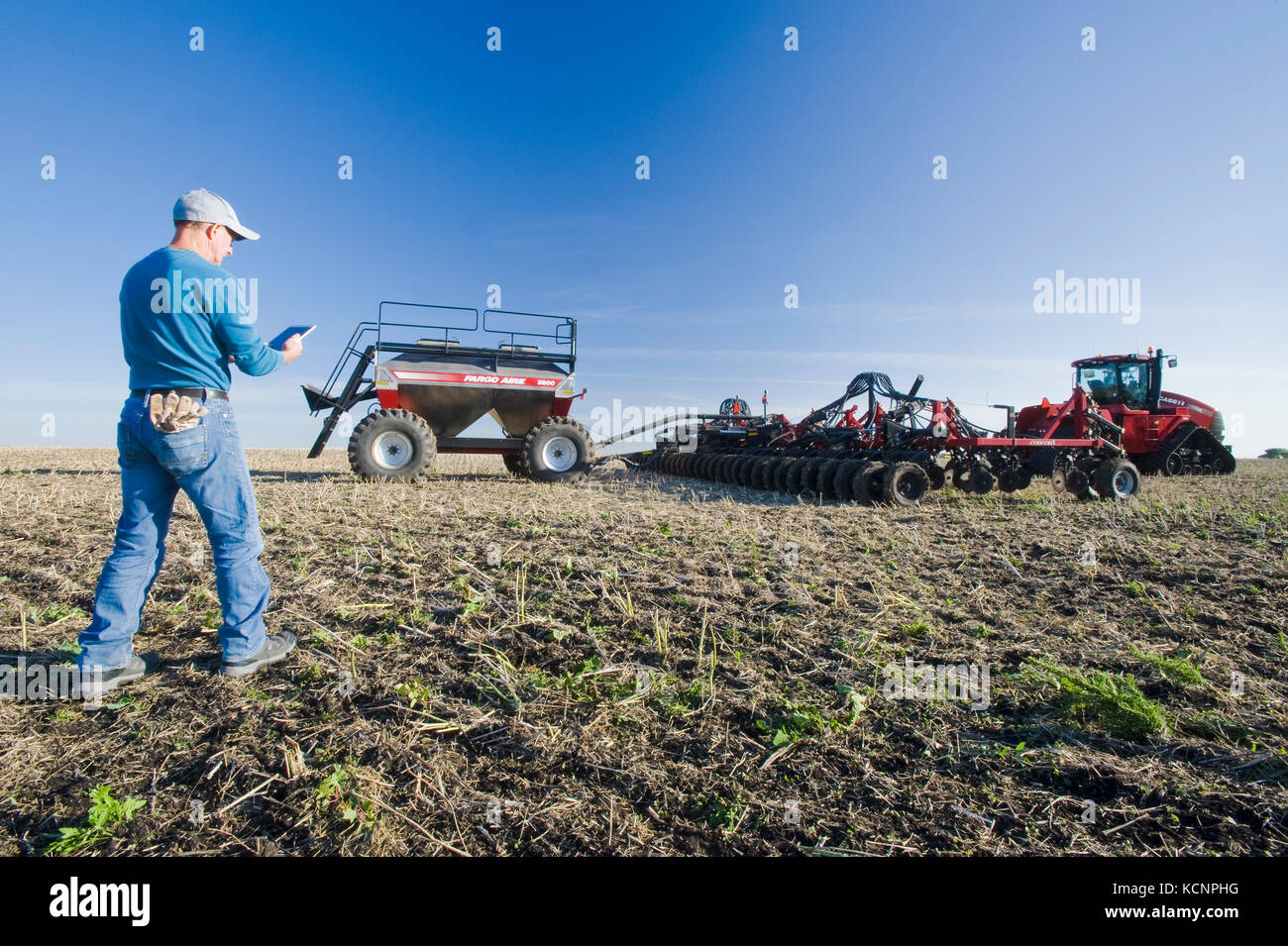 Agricoltore utilizzando una compressa nella parte anteriore di un trattore e la seminatrice pneumatica la semina di grano di inverno in uno zero fino al campo contenente la canola stoppie, vicino Lorette, Manitoba, Canada Foto Stock