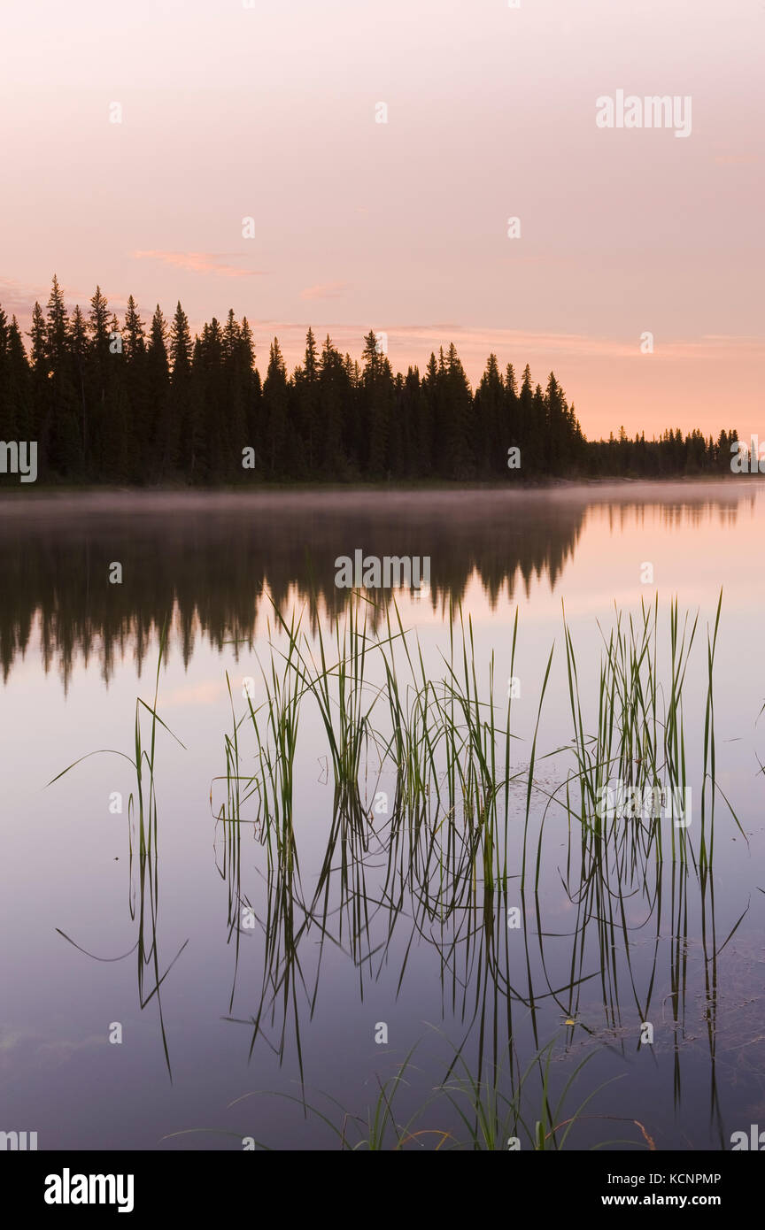 Lungo il fiume di erba, Manitoba, Canada Foto Stock
