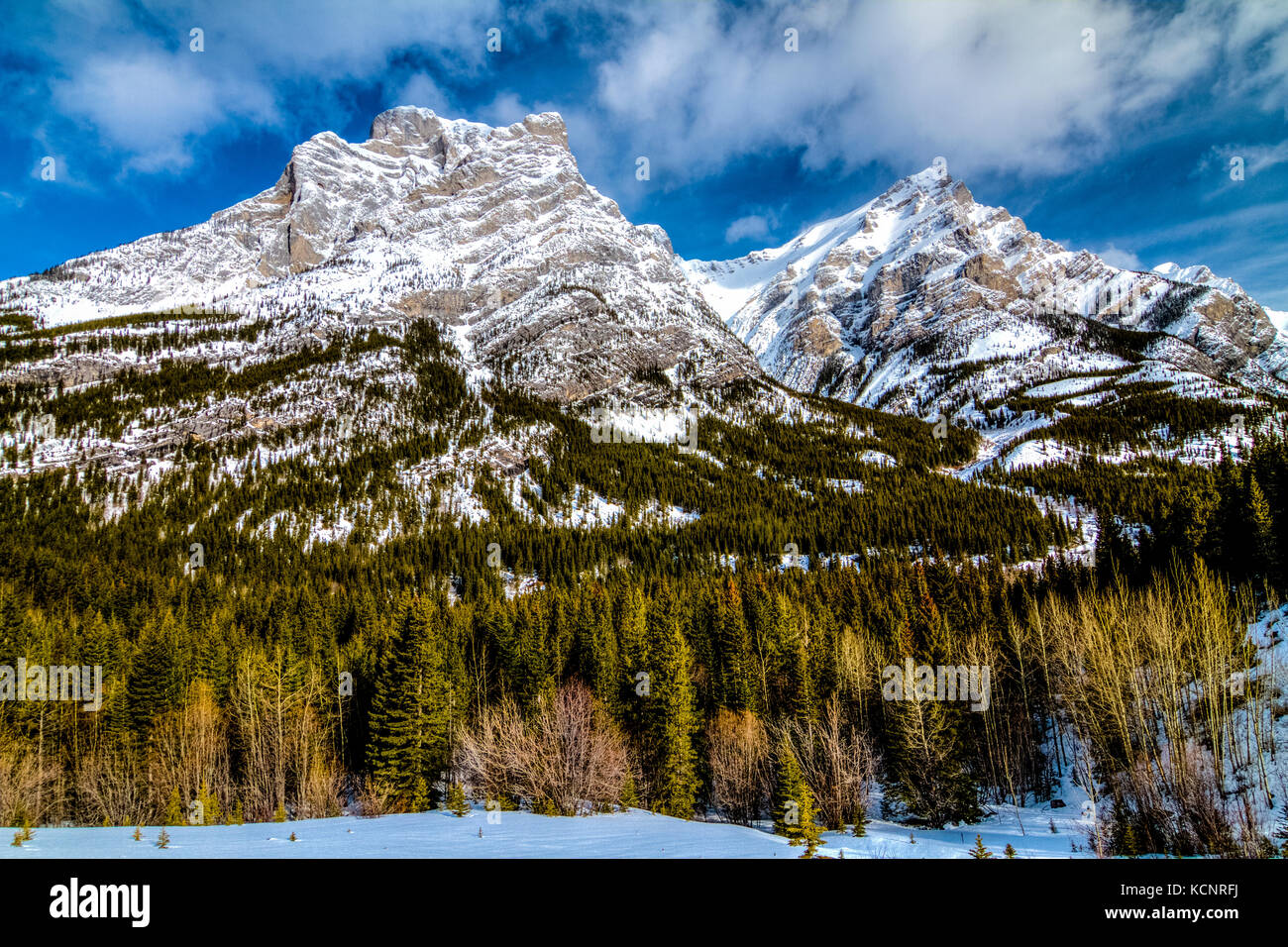 Kananaskis montagne parte della Canadian Rockies. Robusto e rocciose, montagne maestose, contro un profondo cielo blu, come essi si elevano al di sopra della linea di albero. Kananaskis Parco Provinciale, Alberta, Canada. Foto Stock