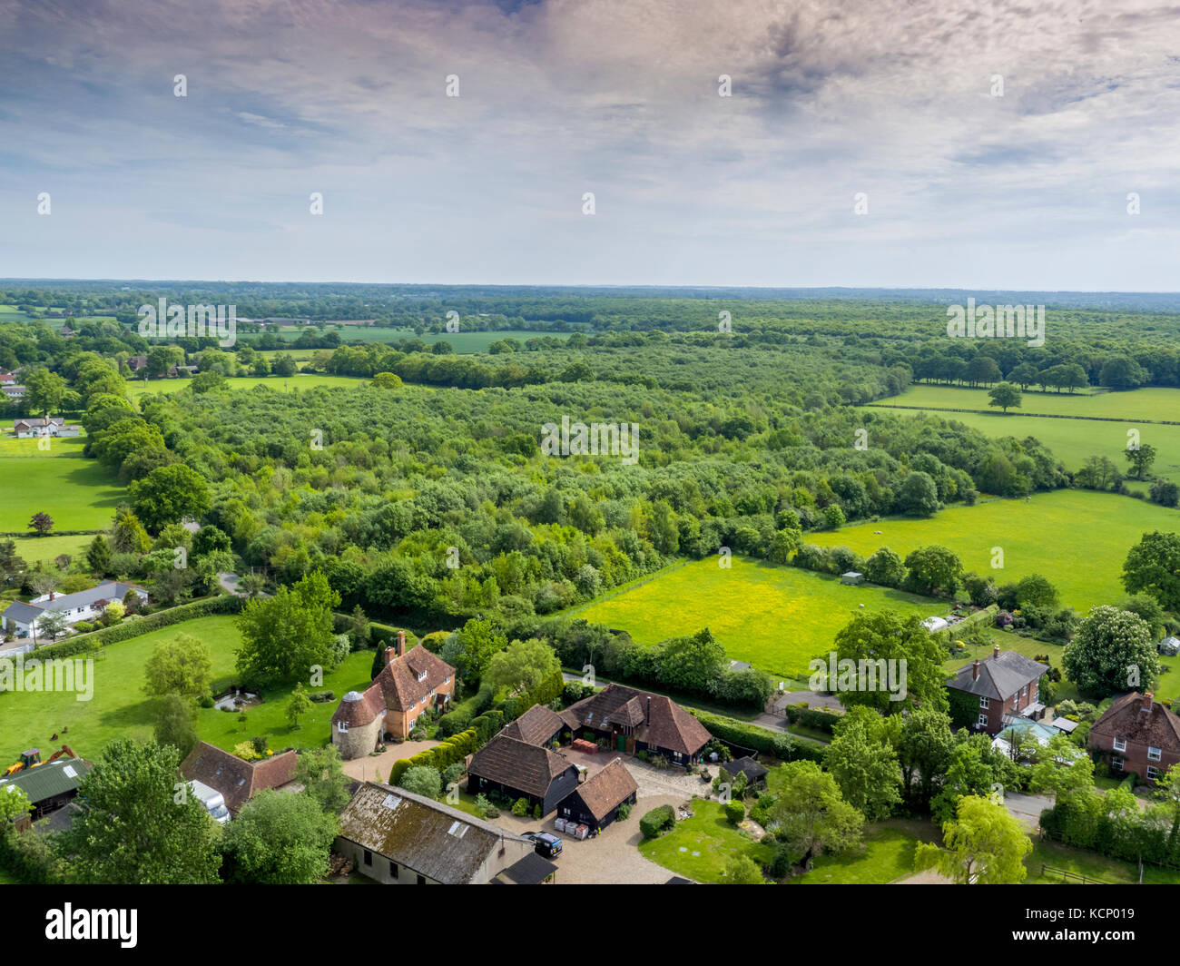 Dering Woods, Pluckley, Kent Foto Stock