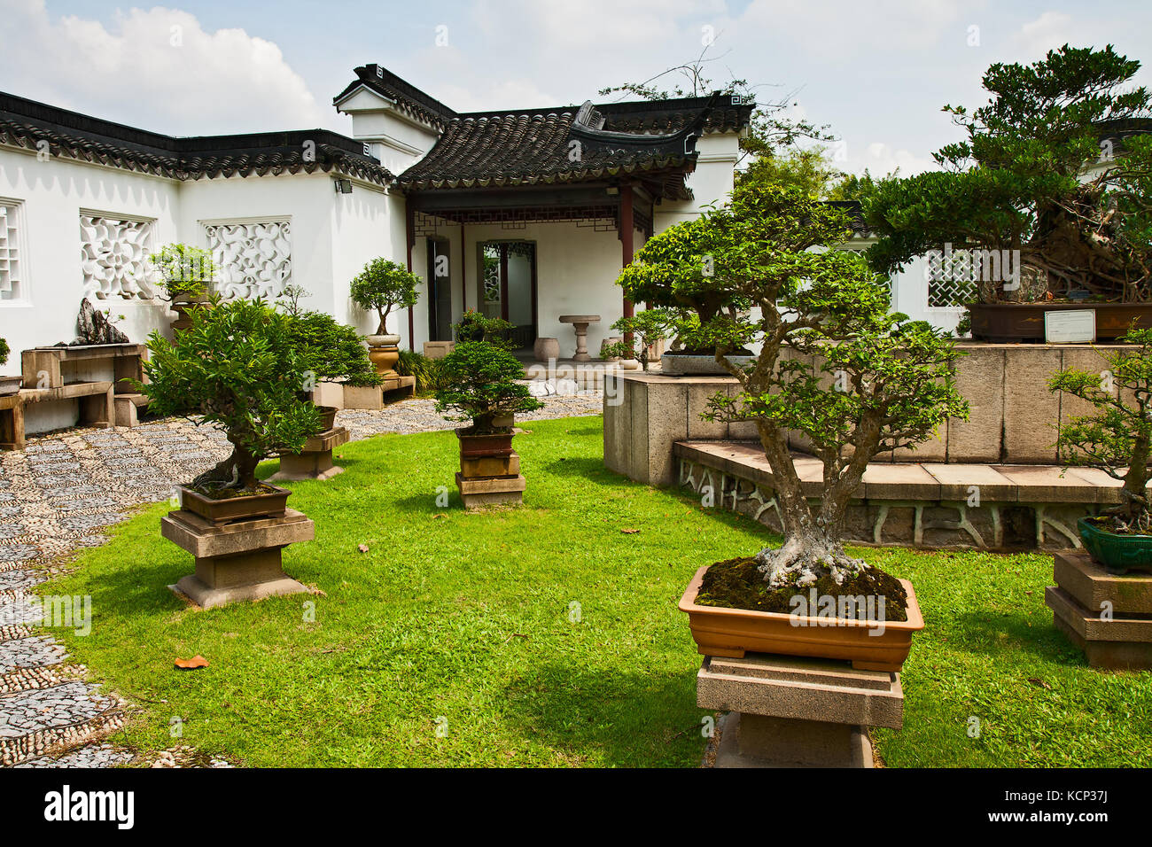 Corte interna in un giardino un bonsai, Singapore Foto Stock