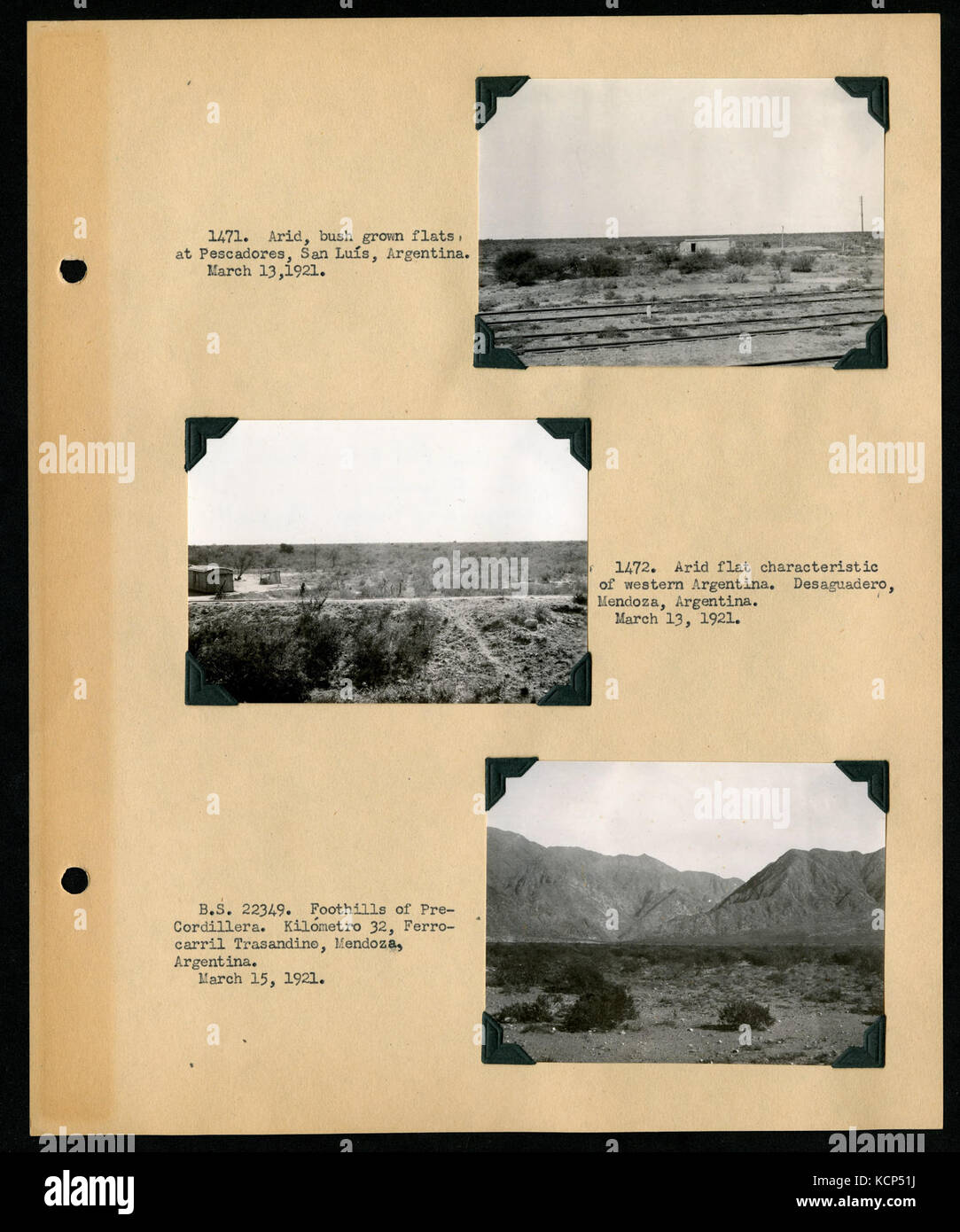 Album 1 Uruguay, Argentina, Cile e Perù, 1920 1921 comprende fotografie di Wetmore, James Lee Peters e Wilfrid B. Alexander (pagina 49) BHL46399853 Foto Stock