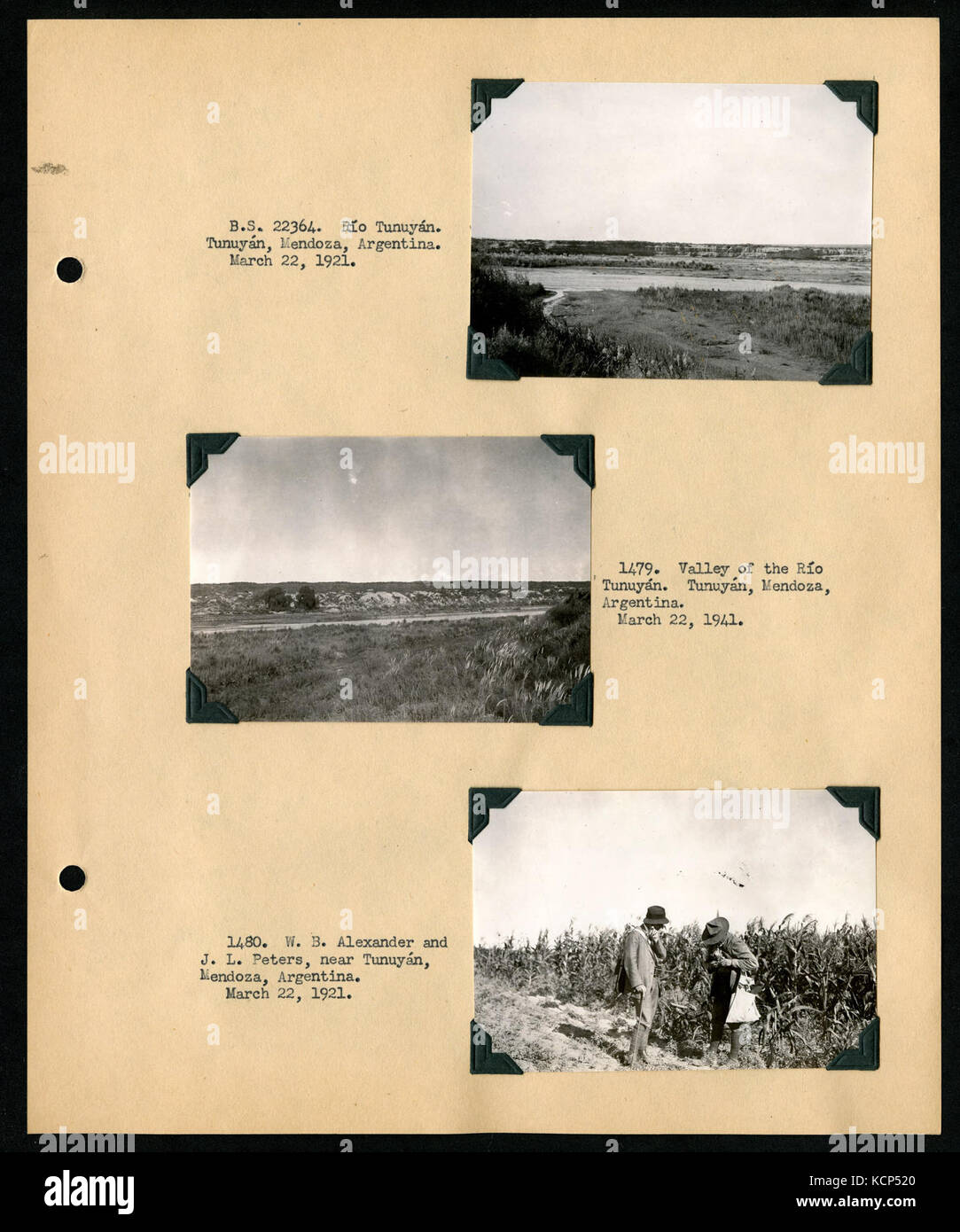 Album 1 Uruguay, Argentina, Cile e Perù, 1920 1921 comprende fotografie di Wetmore, James Lee Peters e Wilfrid B. Alexander (pagina 55) BHL46399824 Foto Stock