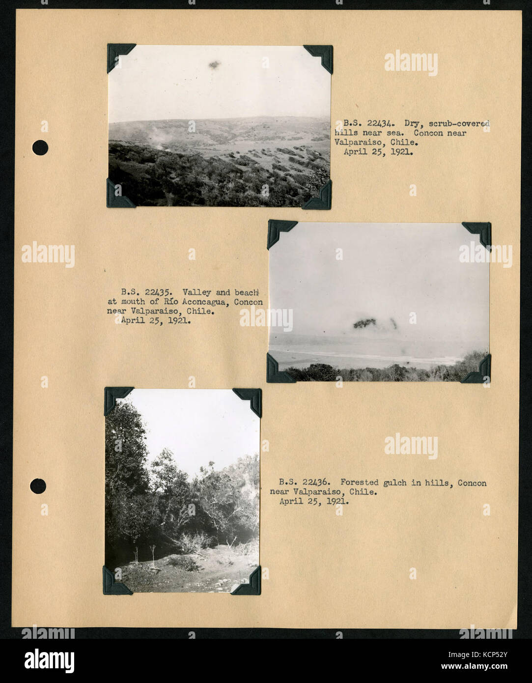 Album 1 Uruguay, Argentina, Cile e Perù, 1920 1921 comprende fotografie di Wetmore, James Lee Peters e Wilfrid B. Alexander (pagina 76) BHL46399845 Foto Stock