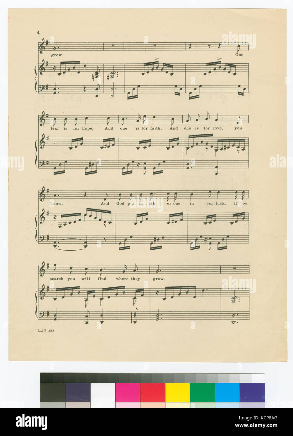 Quattro Leaf Clover (NYPL ADE 464459 1808745) Foto Stock