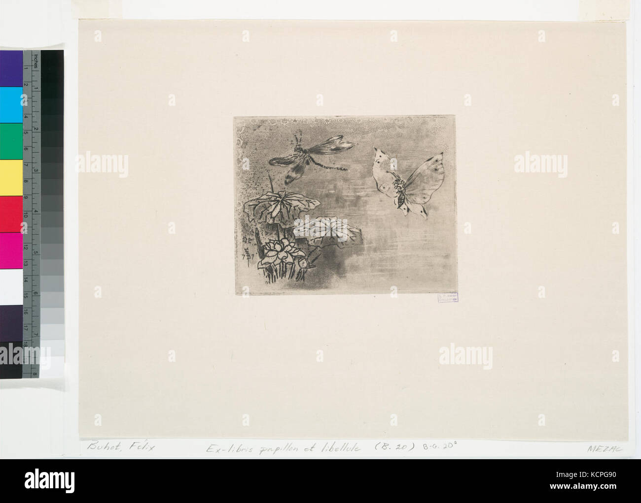 Questo segnalibro "Ex Libris" presenta una farfalla (Papillon) e una libellula (Libellule), simbolo delle delicate creature della natura, tipicamente utilizzate per segnare la proprietà di un libro. Foto Stock
