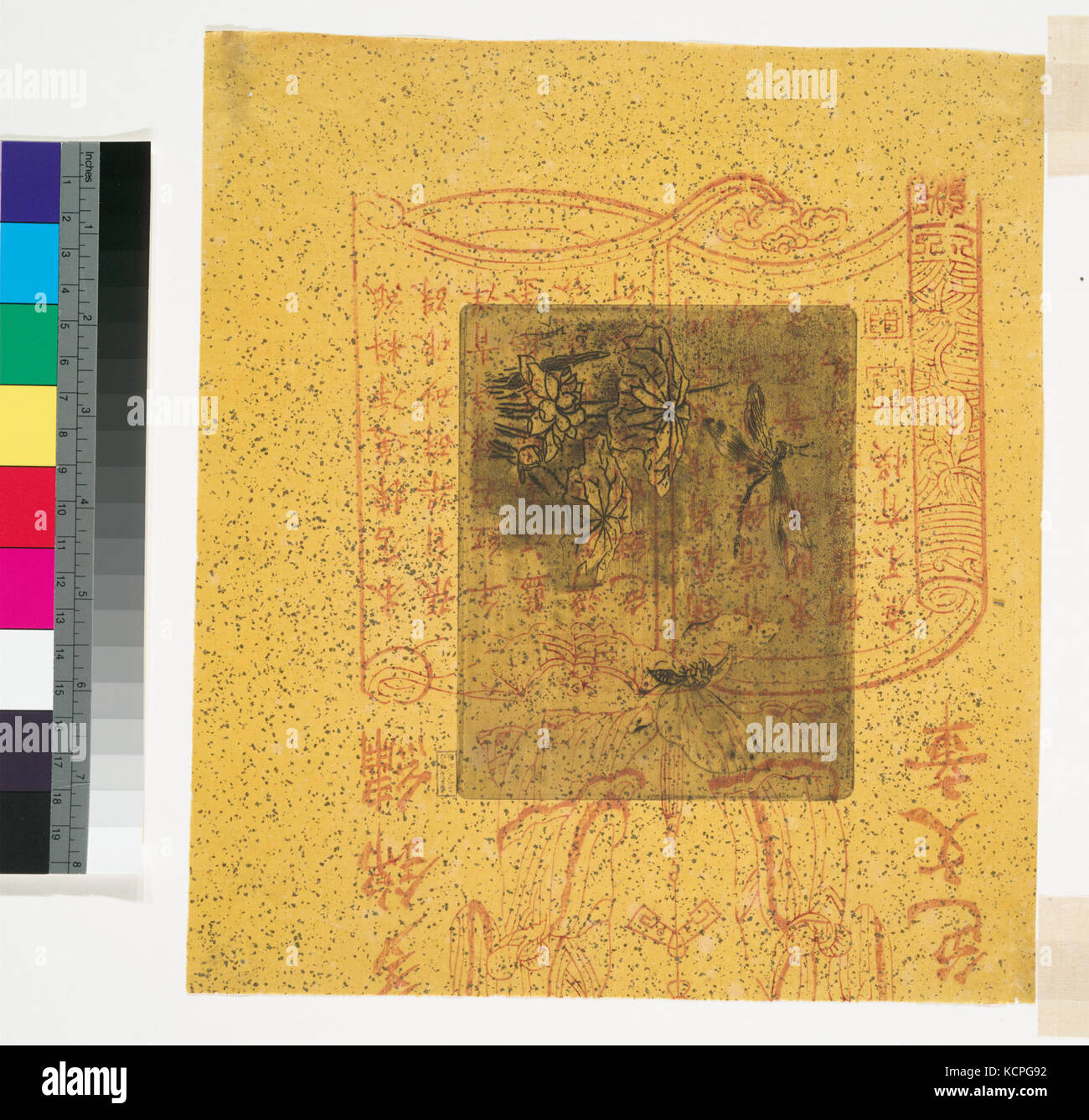 Ex libris Papillon et libellule (NYPL B12390848 1101512) Foto Stock