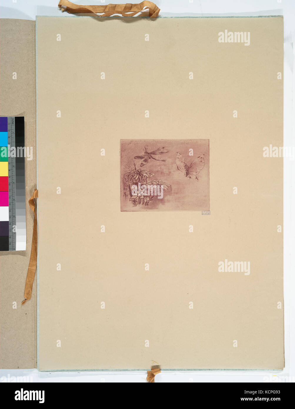 Ex libris papillon et libellule (NYPL B14326170 1101489) Foto Stock