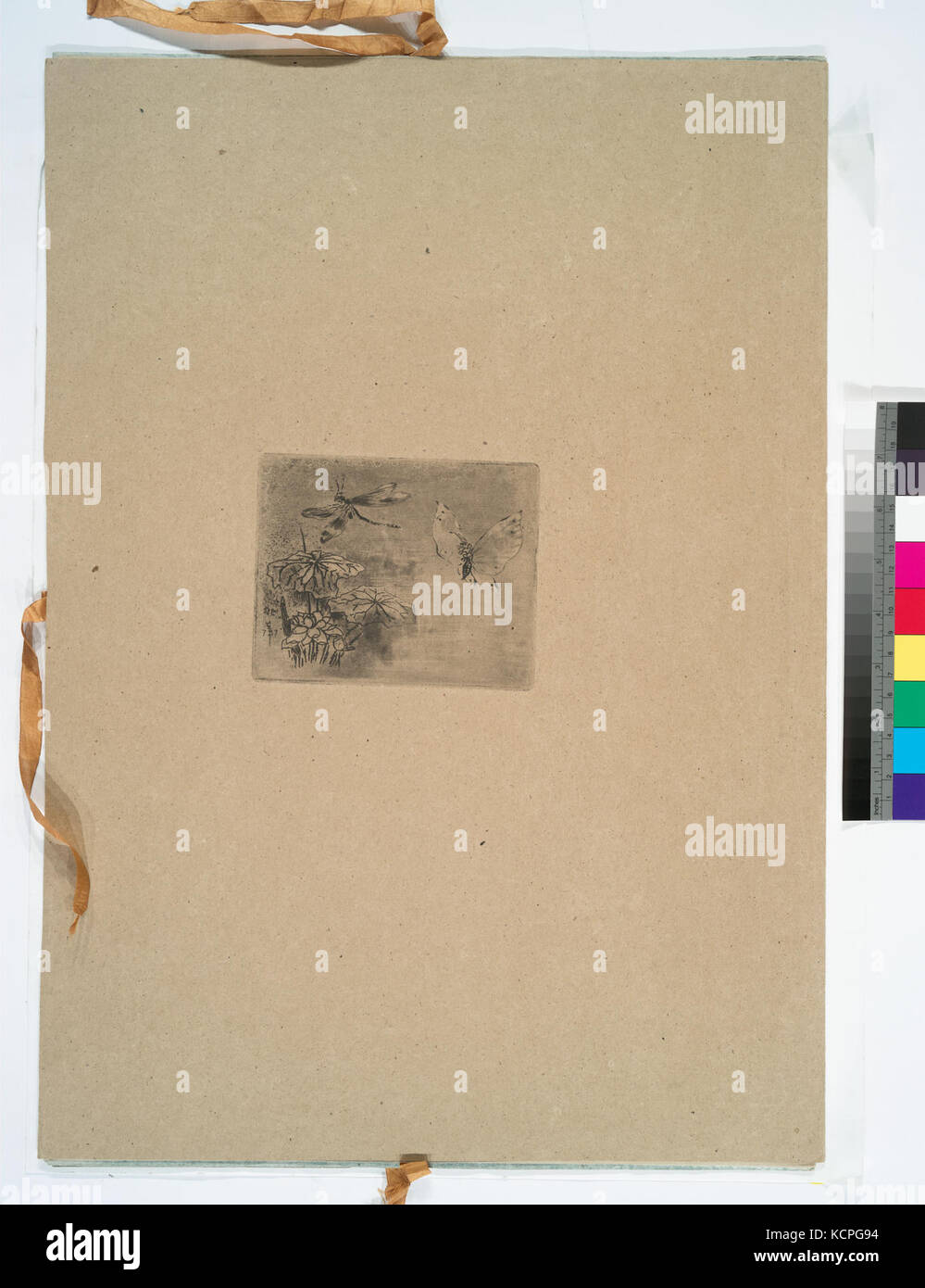 Questo piatto ex libris, caratterizzato da un design a farfalla e libellula, rappresenta una libreria personale. Fa parte della collezione della New York Public Library, che offre informazioni sulle librerie storiche e sulla loro arte decorativa. Foto Stock